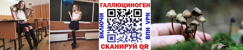 OMG как войти  Чусовой  Галлюциногенные грибы Cubensis 